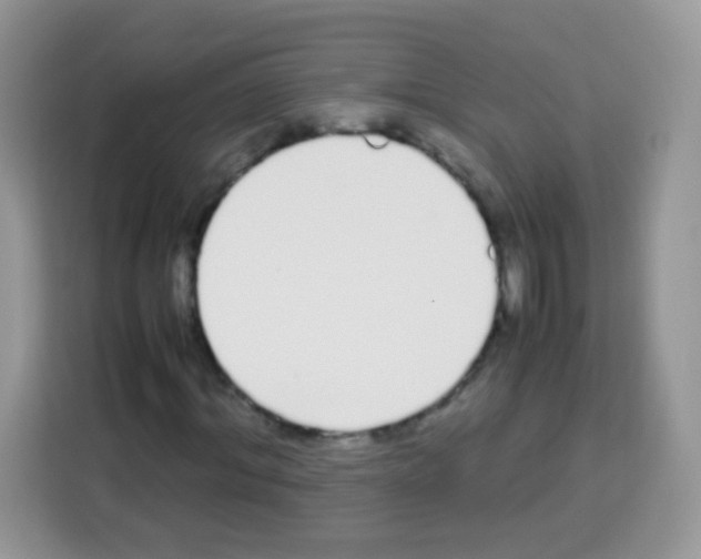 X0000113030964200910081217