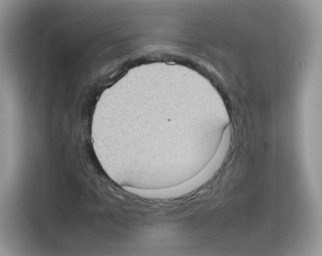 X0000113030965200910081217