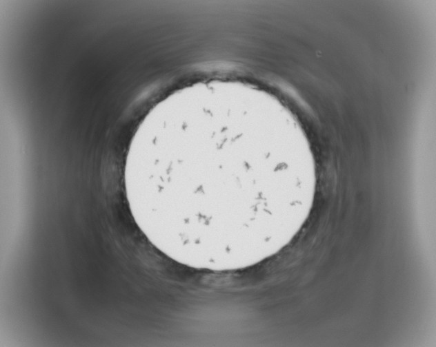X0000113030967200910081217
