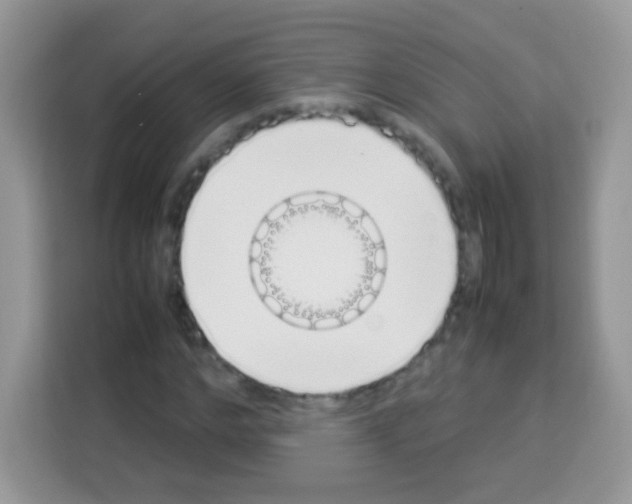 X0000113030968200910081217