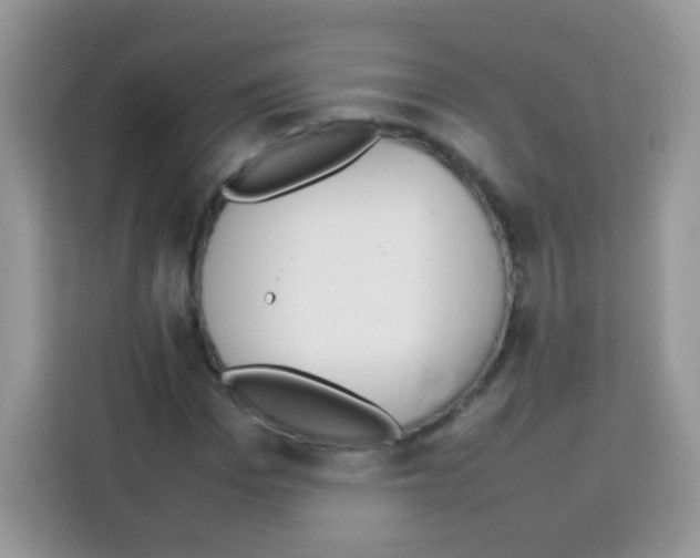 X0000113030969200910081217