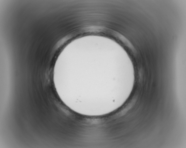 X0000113030970200910081217