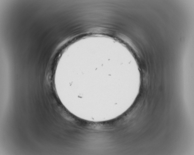 X0000113030971200910081217