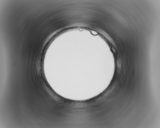 X0000113030972200910081217