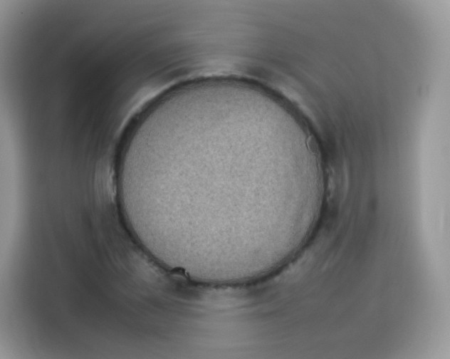 X0000113030973200910081216