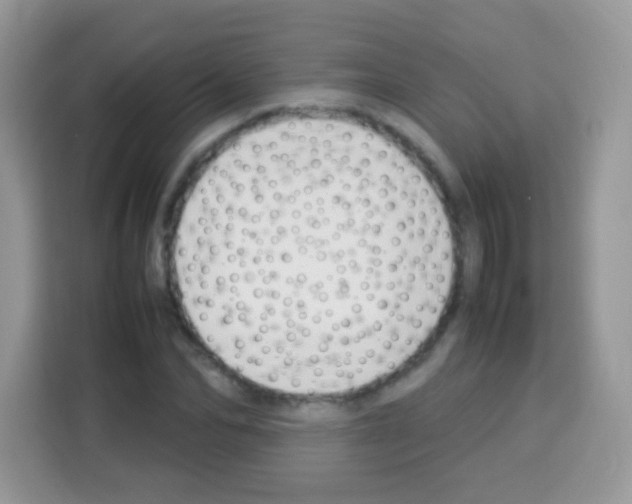 X0000113030974200910081216
