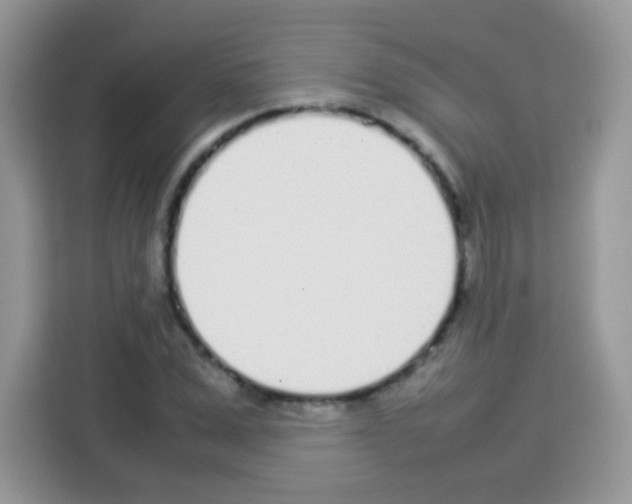 X0000113030975200910081216