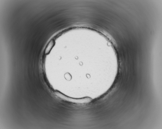 X0000113030976200910081216