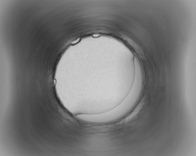 X0000113030977200910081216