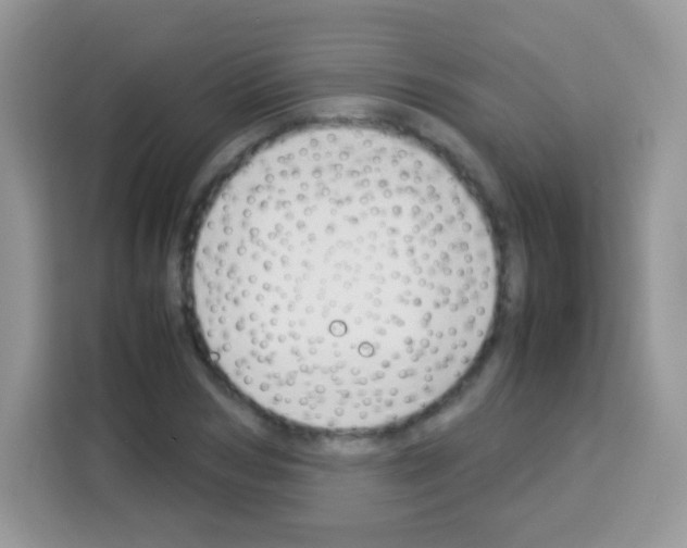 X0000113030978200910081216