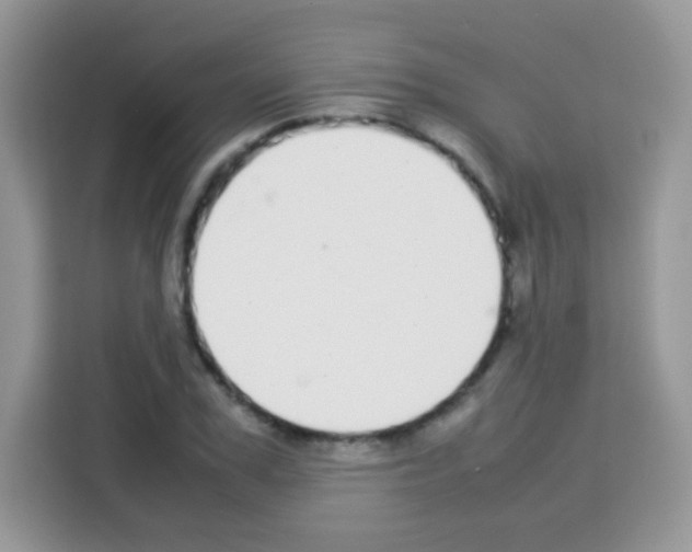 X0000113030979200910081216