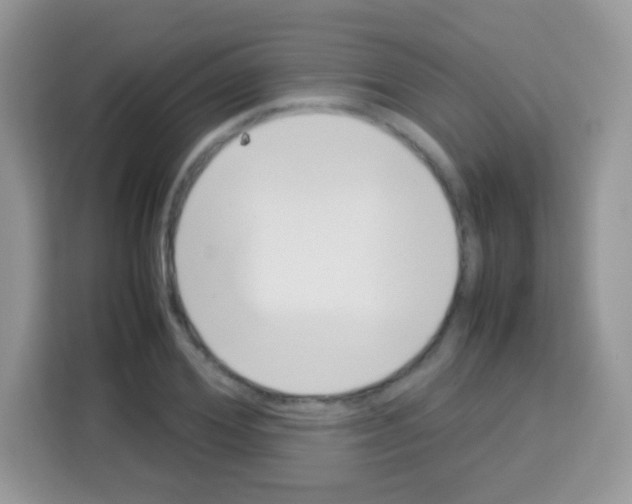 X0000113030980200910081216