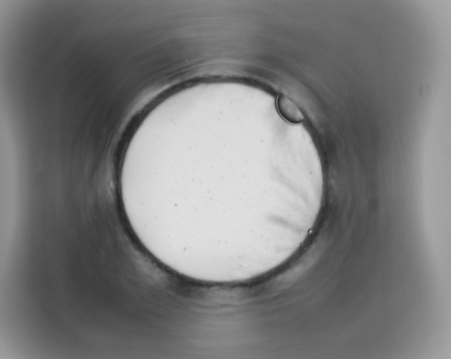 X0000113030981200910081216