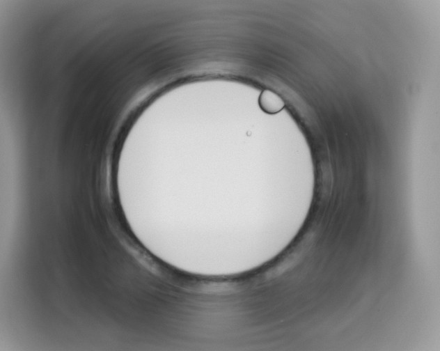 X0000113030982200910081216