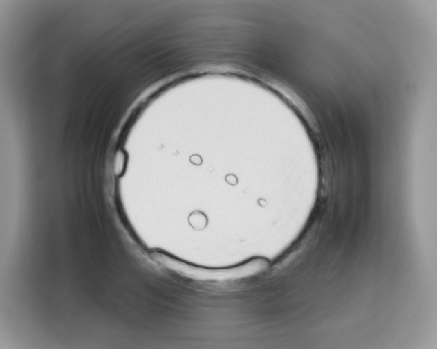 X0000113030984200910081216