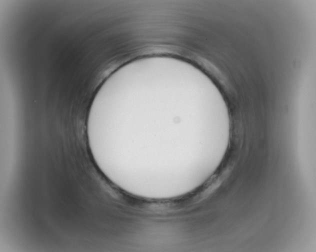 X0000113030985200910081216