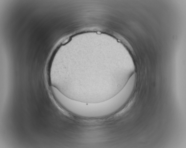X0000113030989200910081216