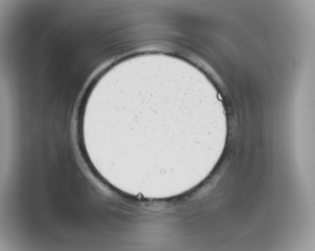 X0000113030991200910081216