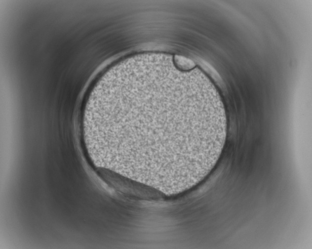 X0000113030992200910081216