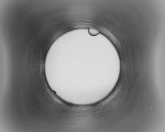 X0000113030993200910081216