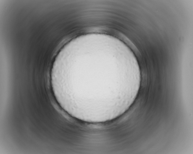 X0000113030994200910081216