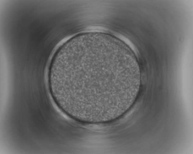 X0000113030995200910081216