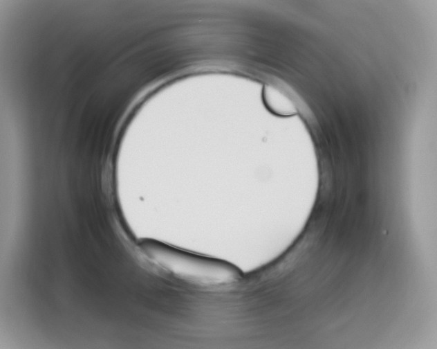 X0000113030996200910081216