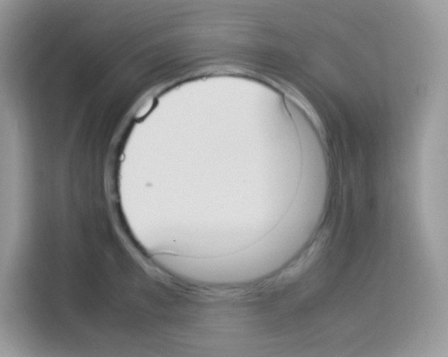 X0000113030997200910081216