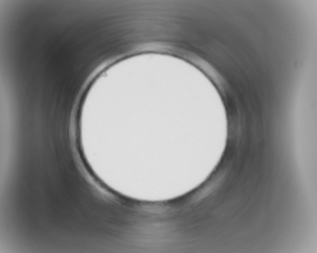 X0000113030999200910081216