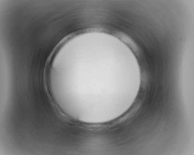 X0000113031000200910081216