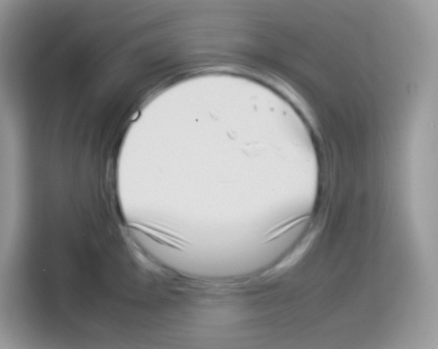 X0000113031001200910081216