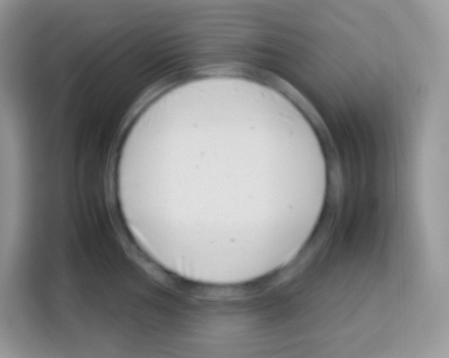 X0000113031002200910081216