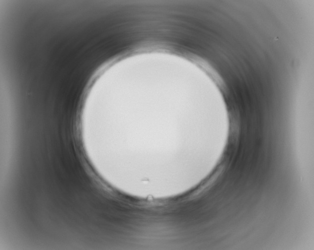 X0000113031004200910081216
