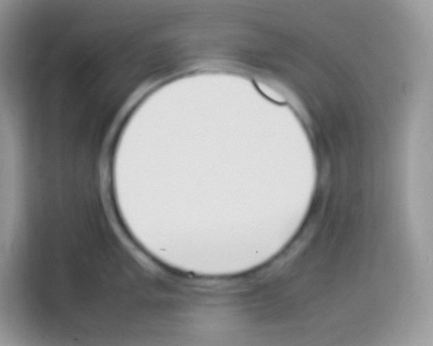 X0000113031005200910081216