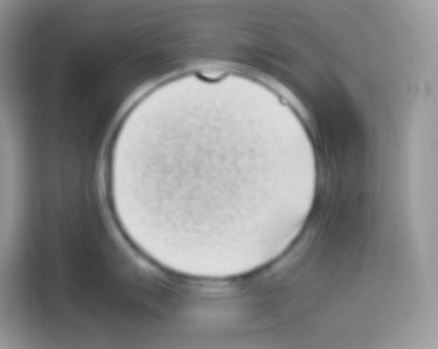 X0000113031007200910081216