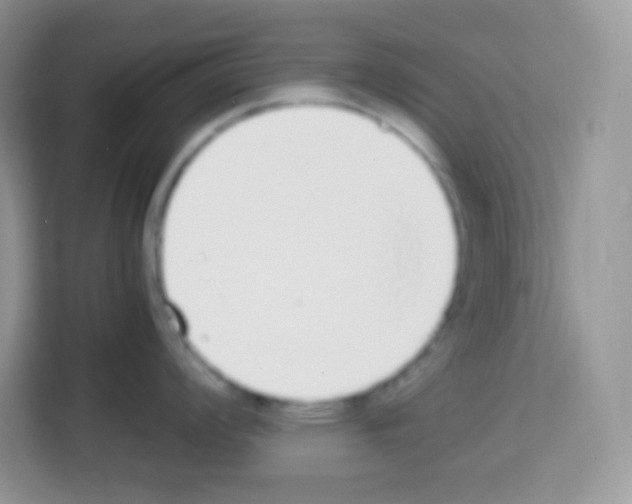X0000113031008200910081216