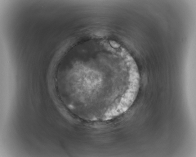 X0000113031009200910081215