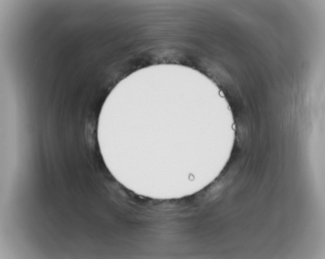 X0000113031010200910081215