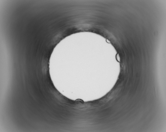 X0000113031012200910081215