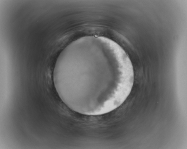 X0000113031013200910081215