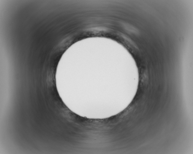 X0000113031014200910081215