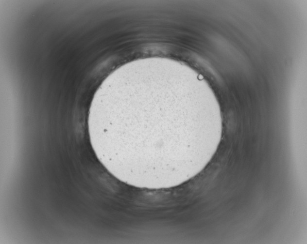 X0000113031015200910081215