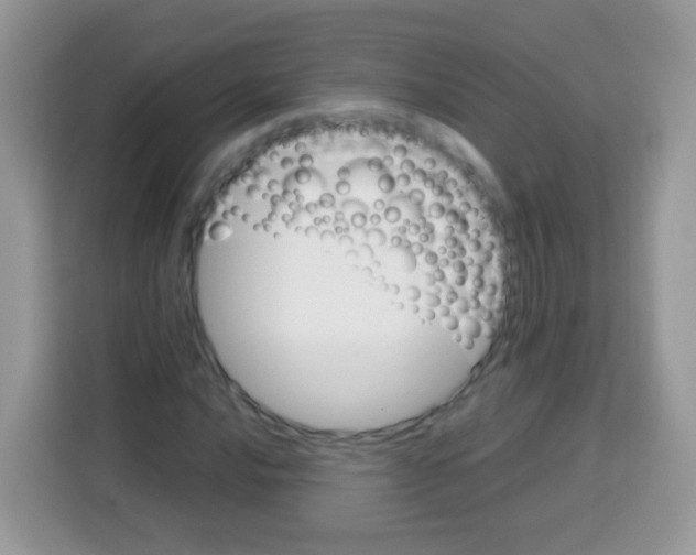 X0000113031016200910081216