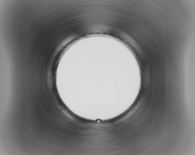 X0000113031018200910081216