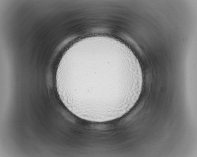 X0000113031019200910081216