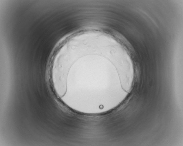 X0000113031020200910081216