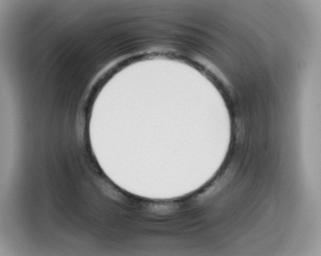 X0000113031021200910081216