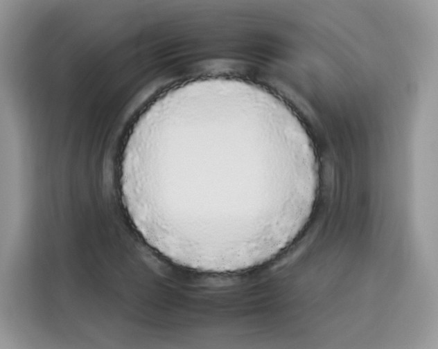 X0000113031023200910081216