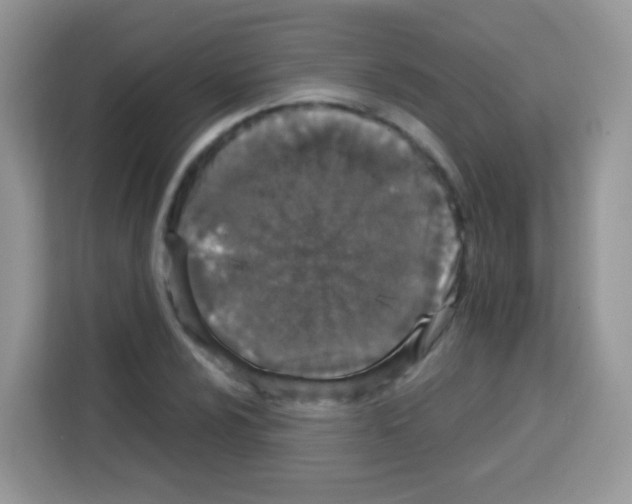 X0000113031024200910081216