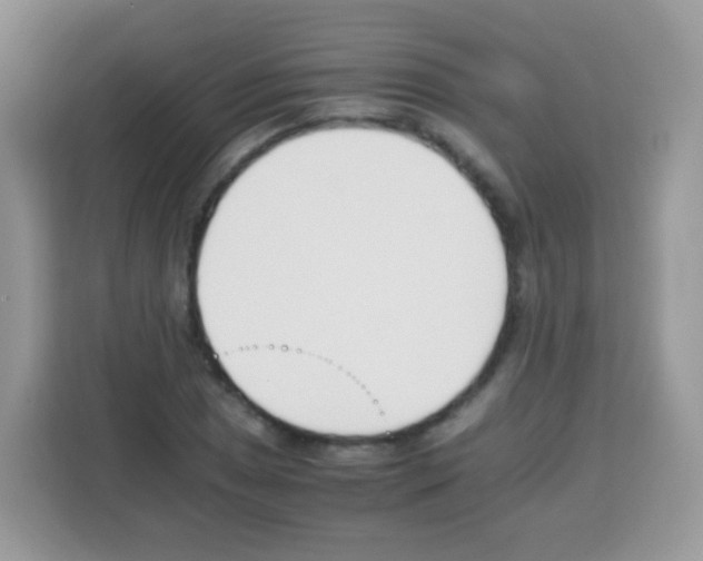 X0000113031025200910081216